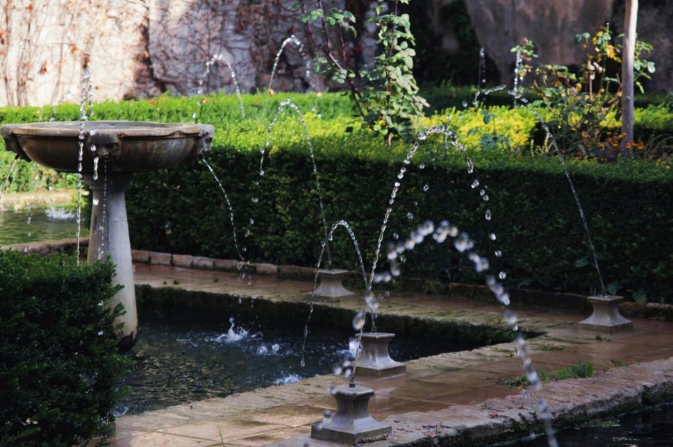 water feature backyard